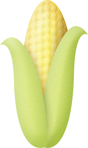 Corn On The Cob - Banana (296x500)