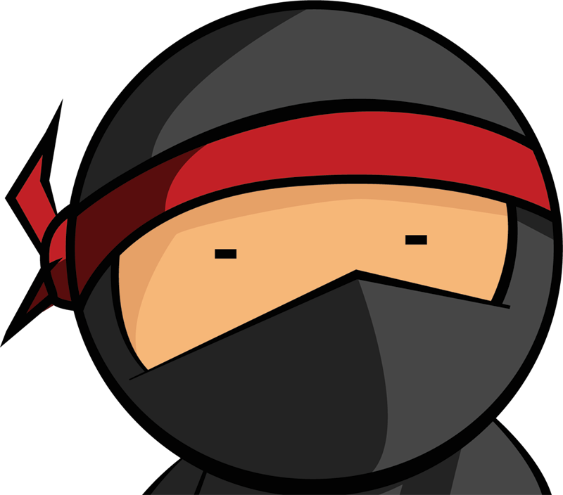 Ninja Hd Widescreen Wallpapers - Ninja Networking (800x704)