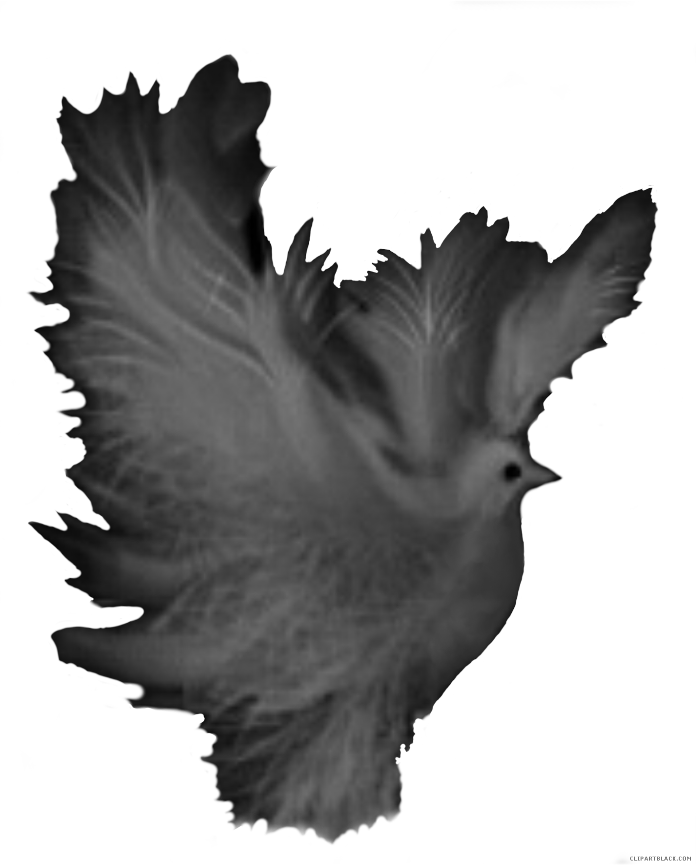 Dove Fantasy Animal Free Black White Clipart Images - Portable Network Graphics (1406x1746)