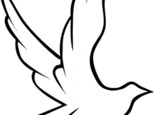 White Dove Clipart Pentecost - Passaros Voando Para Colorir (640x480)
