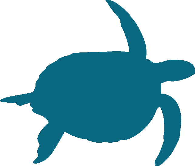 $15 A Month For A Year Could Pay For Equipment To Save - Turtle (643x548)