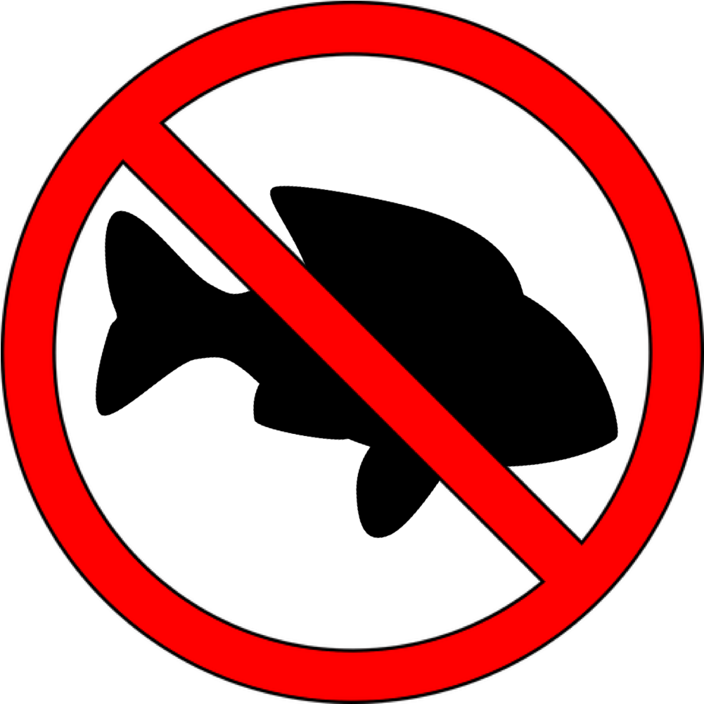 10 Marine Species That Need Protecting - Chinese Bahaba (1034x1005)