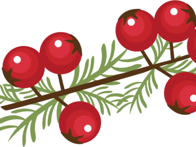Berry Clipart Winter - Berry Clipart Winter (640x480)