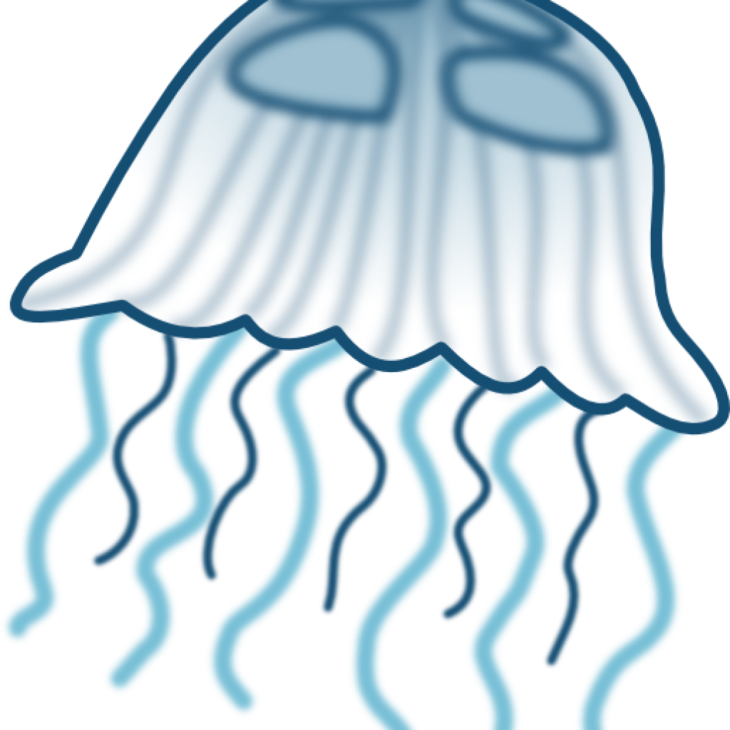 Jellyfish Clipart Transparent Background 653050 7065397 - Jelly Fish Clip Art (1024x1024)