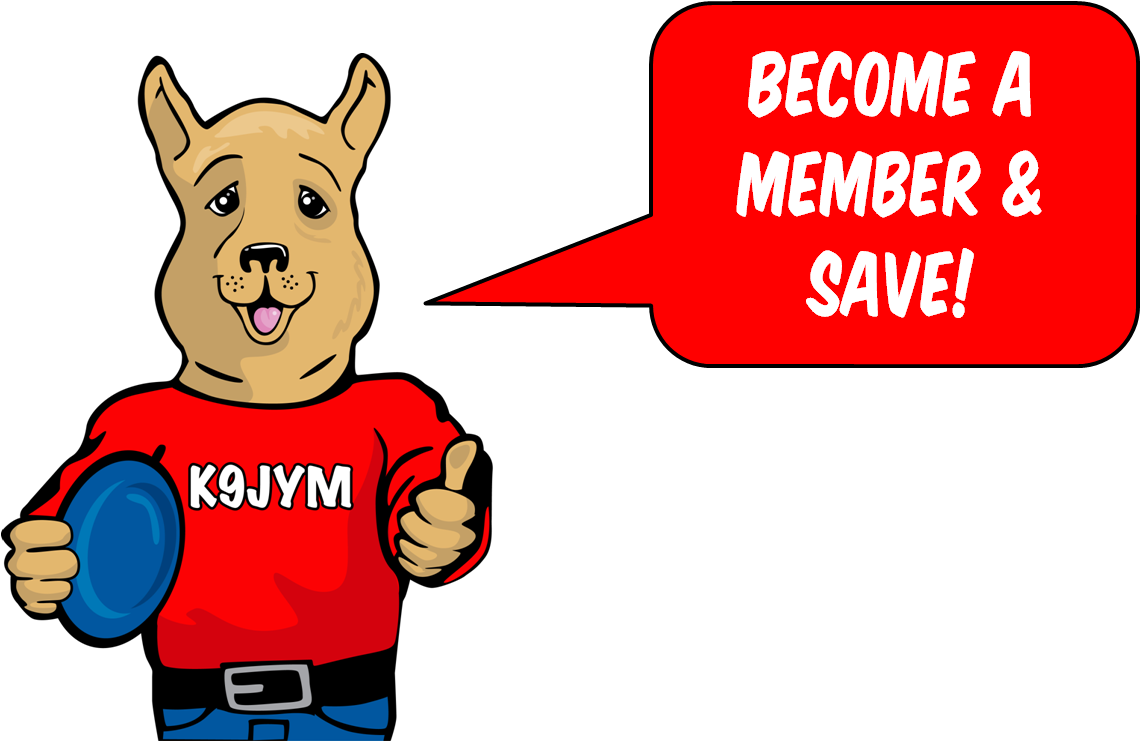 K9jym Members Save $$$$ - Arctic Monkeys T Shirt (1141x742)