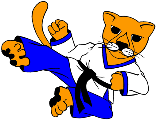 Royal Wootton Bassett Little Pumas Taekwondo Develops - Safeguarding (508x392)