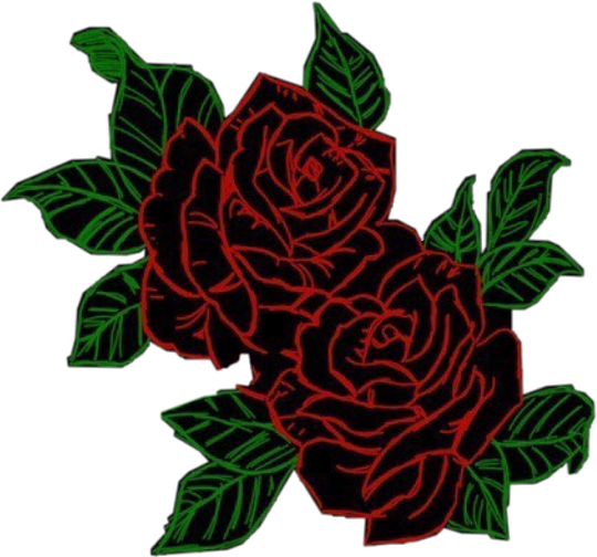 Roses Aesthetic Flowers Freetoedit - Pinterest (540x504)