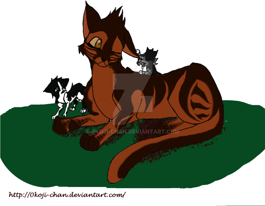 Abbreviated New Drug Application (1024x875)