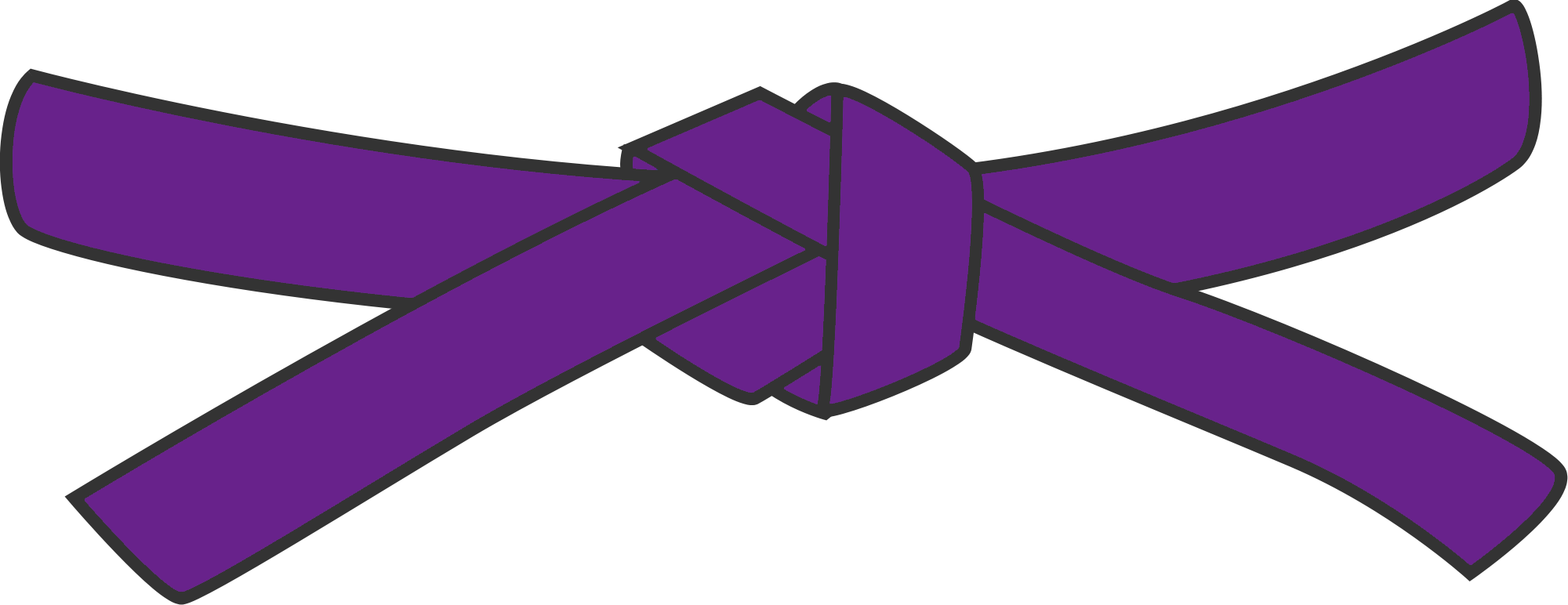 A General Estimate Of The Time Required To Progress - Martial Arts Purple Belt (2000x772)