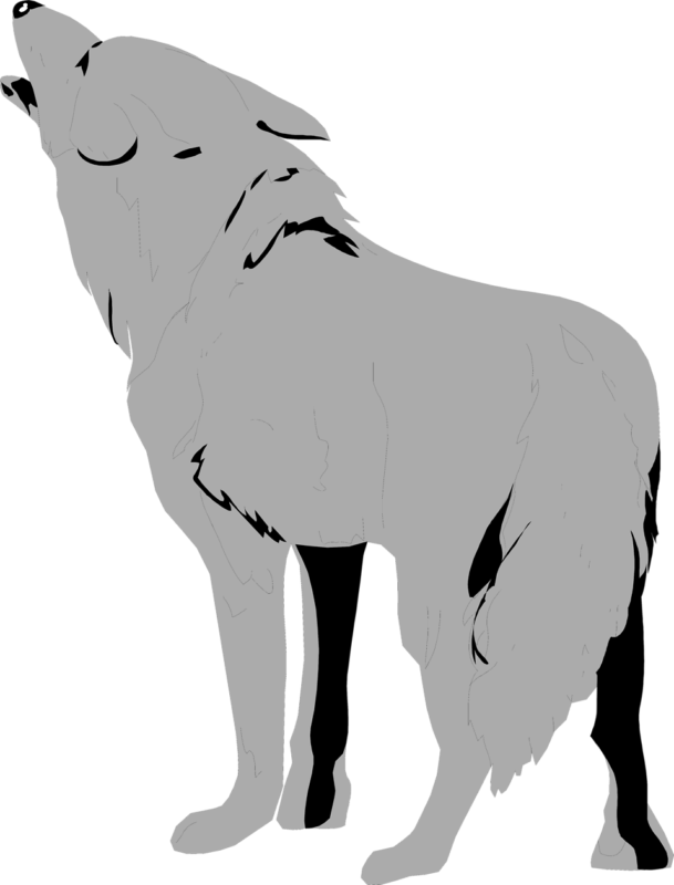 See Here Wolf Clipart Black And White Free Download - Transparent Background Wolf Clipart (609x800)