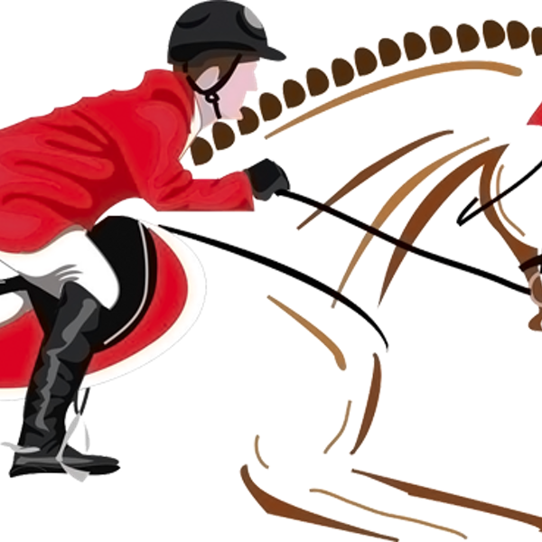 Exelente Lugar Para Practicar Equitación - Show Jumping (600x600)