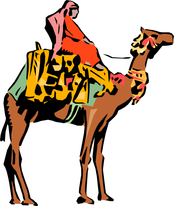 Vector Illustration Of Dromedary Beast Of Burden Camel - Egypt (593x700)