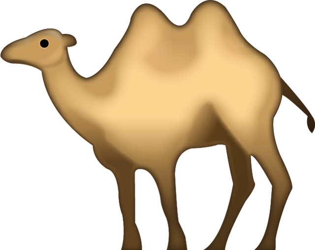 Camel Animal Transparent Png Images Free Download 004 - Camel Emoji Png (640x509)
