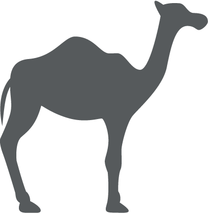 Camel Treks - Arabian Camel (407x417)