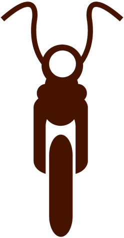 Bike Motorbike Transport Icon Transparent Png - Icono De Moto (512x512)