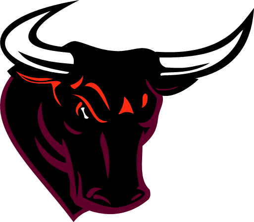 New Bulls Symbol - Bulls Logos (513x449)