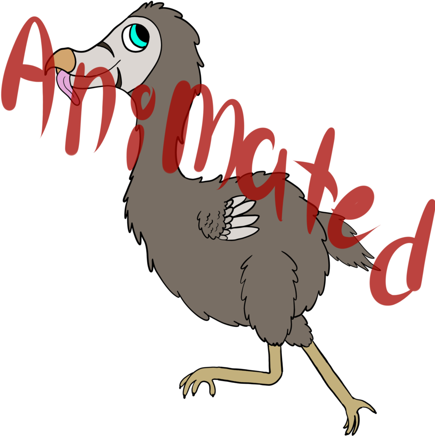 Dodo Cartoon Gifs (894x894)