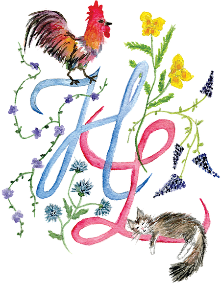 June 23, - Rooster (491x577)