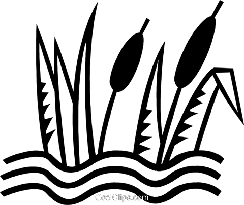 Cat Tails Royalty Free Vector Clip Art Illustration - Clip Art (480x404)