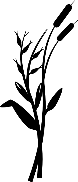 Grass Border Clip Art (258x598)