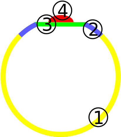 The Parts Of A Ring - Ring (440x492)