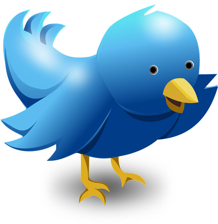 File - Twitterbird - Larry The Twitter Bird (792x496)