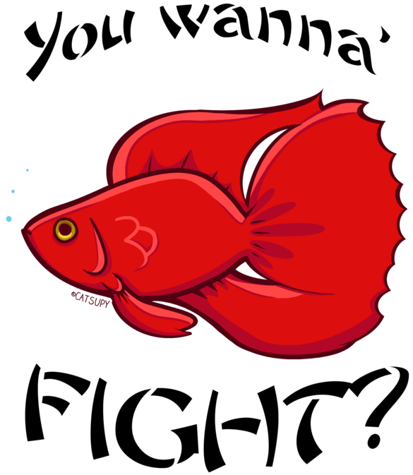 The Great Fighting Fish By Catsupy - Madinina (800x808)