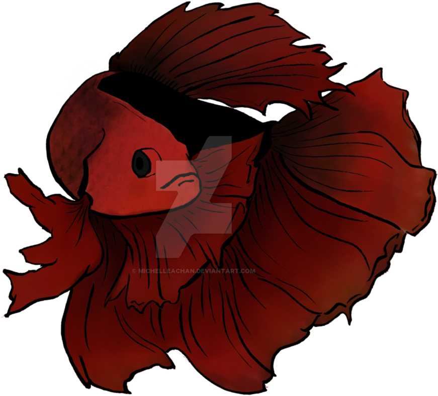 Red Betta By Michelleachan - Digital Art (1001x798)