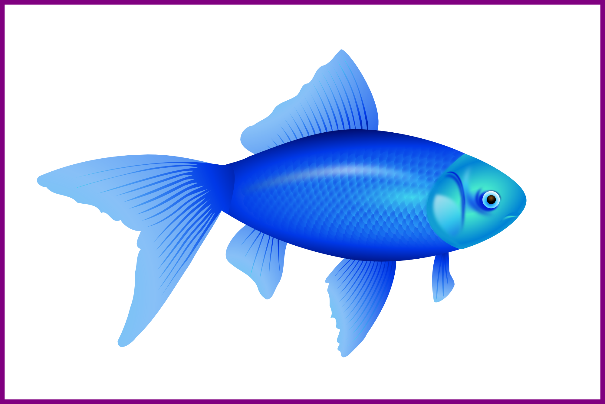 Fascinating Fish Png Clip Art And Album For Background - Custom Blue Fish Shower Curtain (1999x1337)