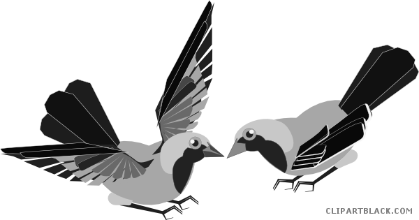 Nice Bird Animal Free Black White Clipart Images Clipartblack - Clip Art (600x315)