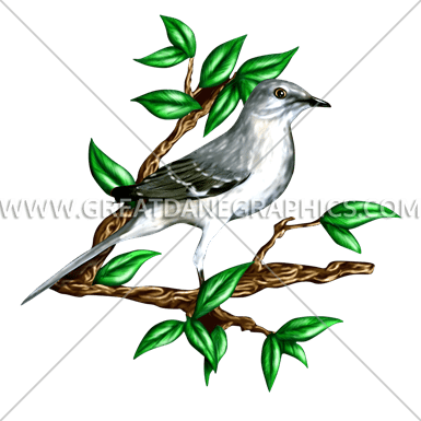 Mockingbird - Wildlife - Mockingbird Posing Portrait Baseball Sleeve (385x385)