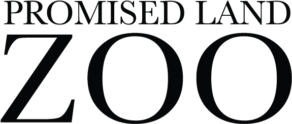 Plz Logo Dark Plz Logo Light Plz Logo Dark Plz Logo - Miss Italia (600x280)