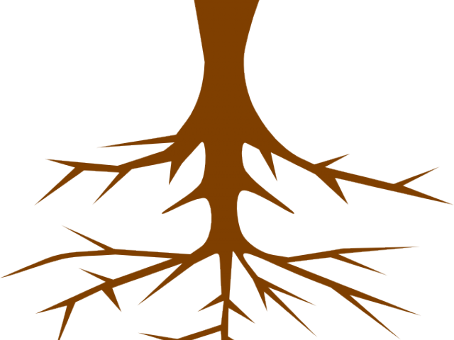 Root Cliparts - Root Clipart (640x480)
