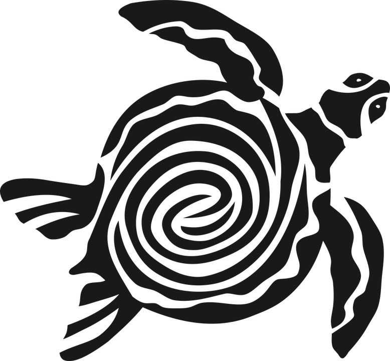 Tortuga Marina Vector Png (778x720)