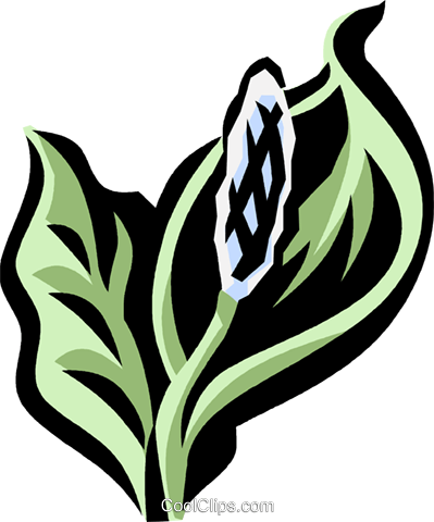 Peace Lily Royalty Free Vector Clip Art Illustration - Drawing (399x480)