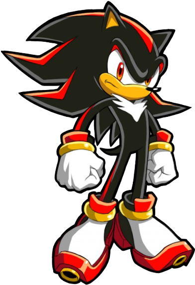 Shadow Has Taken On Opponents Much Stronger Than Zelda - Shadow The Hedgehog Sonic X (493x584)