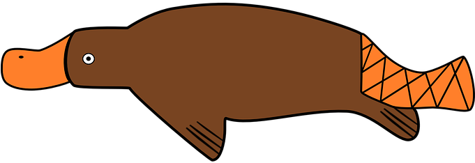 Duck-billed Platypus Platypus Duck Billed - Ornitorrinco Png (680x340)