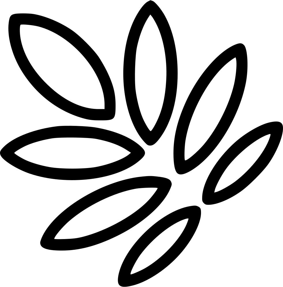 Wheat Seed Grain Comments - Wheat (980x994)