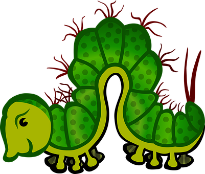 Animal Caterpillar Insect Caterpillar Cate - Caterpillars Clip Art (401x340)