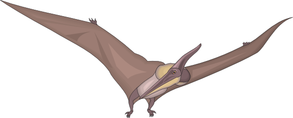 Pteranodon Looking Clipart - Dinossauro Passaro (600x242)