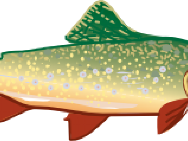 Trout Clipart Cartoon - Trout Clip Art (640x480)