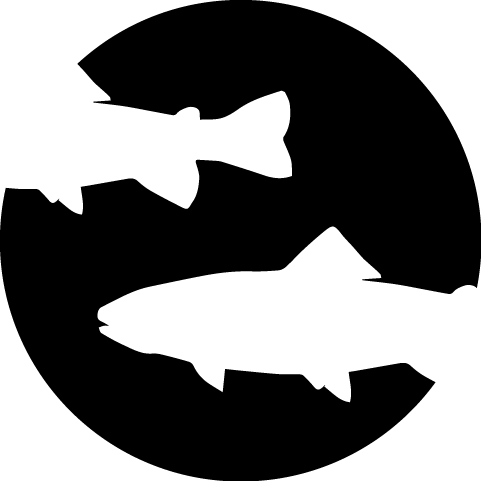 Smoked Trout - Plain White T Shirts (481x481)