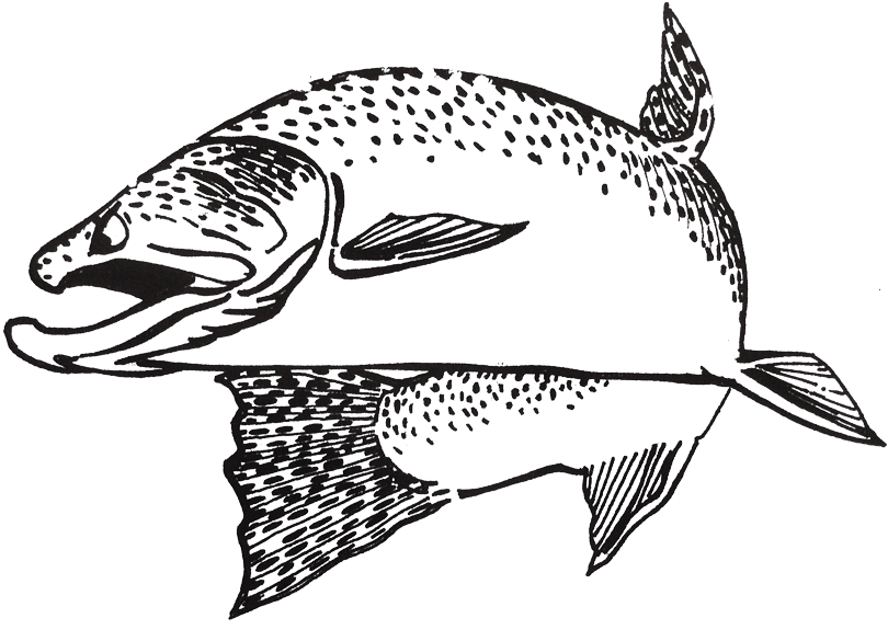 Boffing Jr - William J Boffing Jr Construction (837x600)