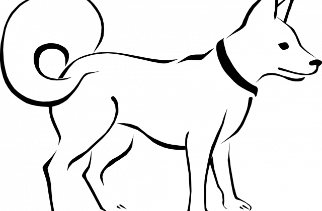 Zoom - Dog Clipart Black And White (640x420)