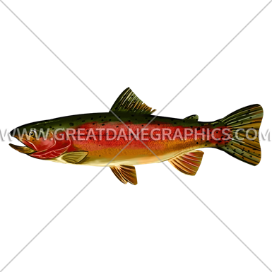 Rainbow Trout Side - Coastal Cutthroat Trout (385x385)