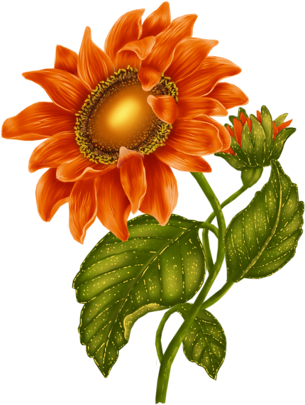 Tatuajes 2 Girasoles (447x578)