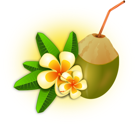 File - Coconut-cocktail - Svg - Tropical Coconut Cocktail Floral Wall Tapestry (512x480)