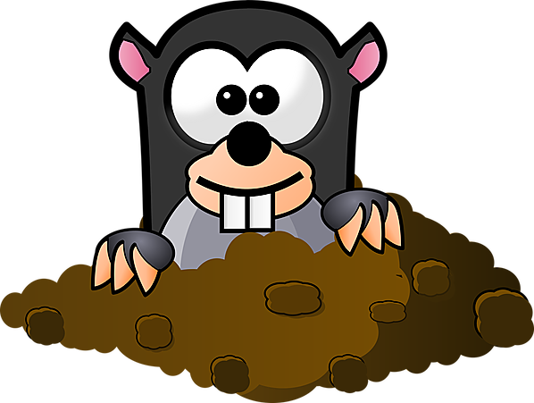 Animal Mole Underground Furry Looking Curi - Cartoon Mole (598x451)