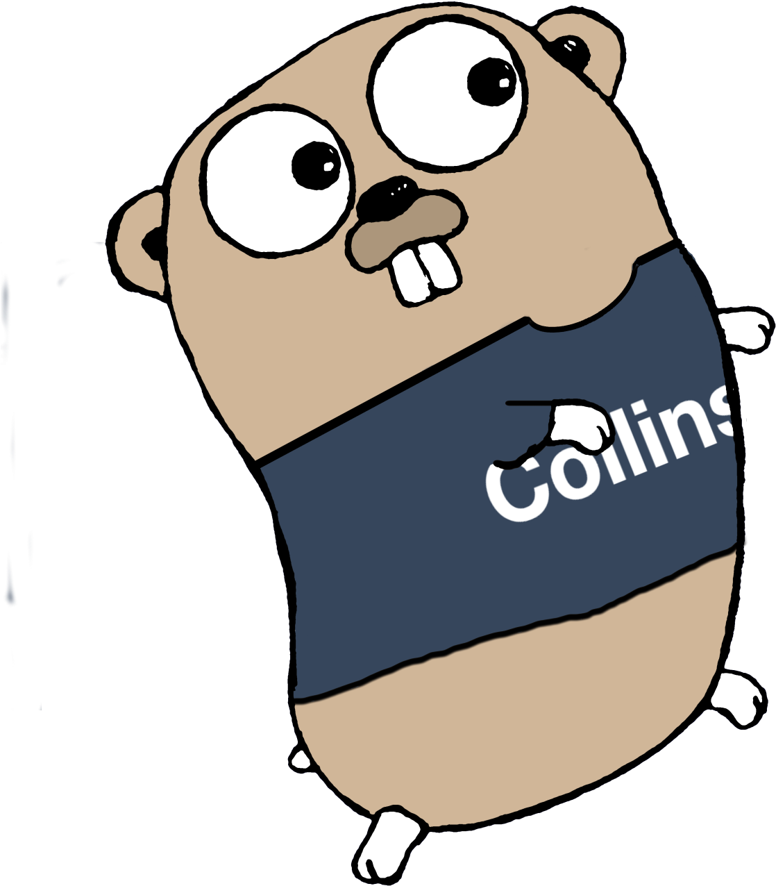 Collins And Go - Way To Go: A Thorough Introduction (1280x1280)