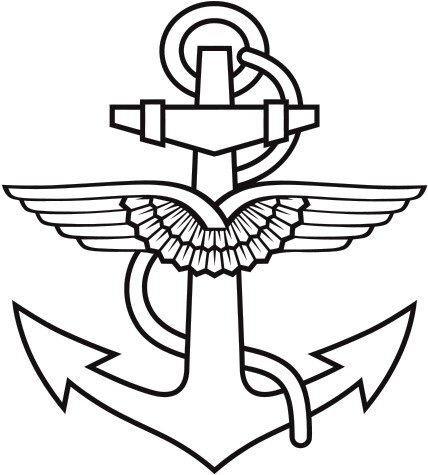 110 Fighter Bombers, 20 Maritime Patrol Aircraft, 20 - Naval Aviation (454x510)